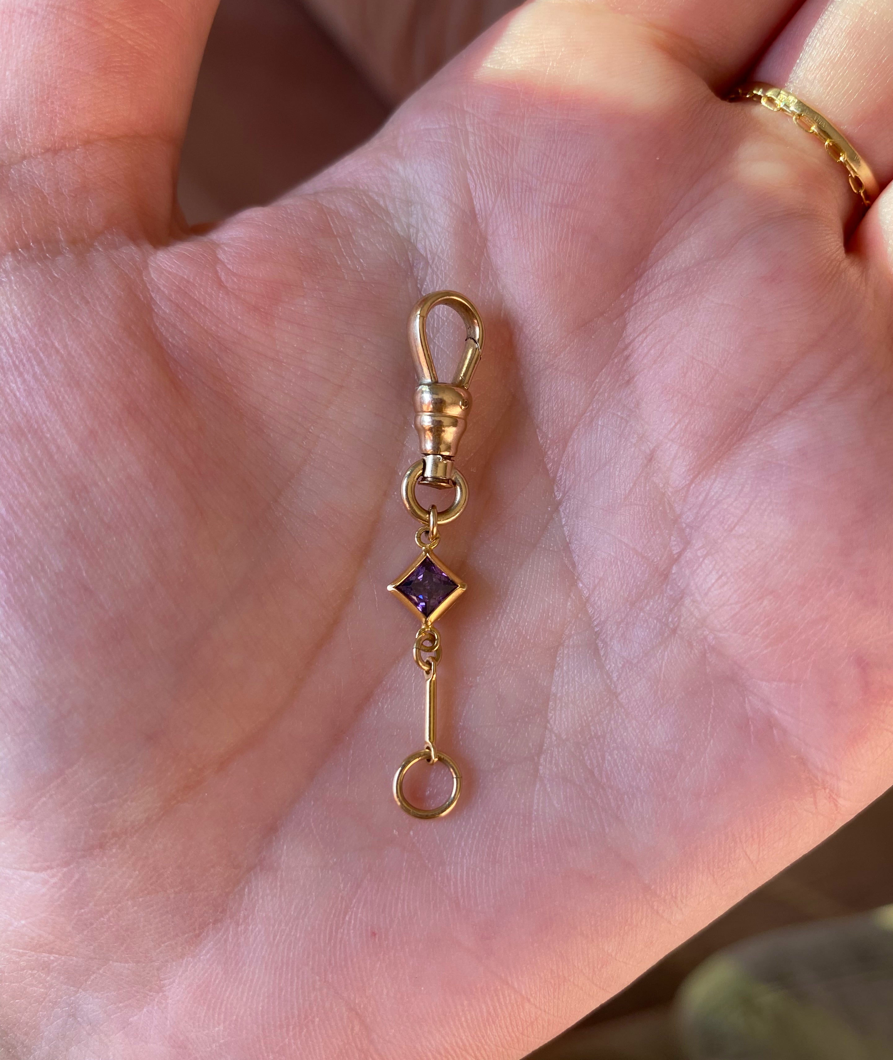 𓏲ּ𝄢 Cora Swivel Dog Clip Clasp