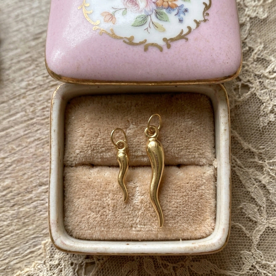 𖤝 Cornicello Charm