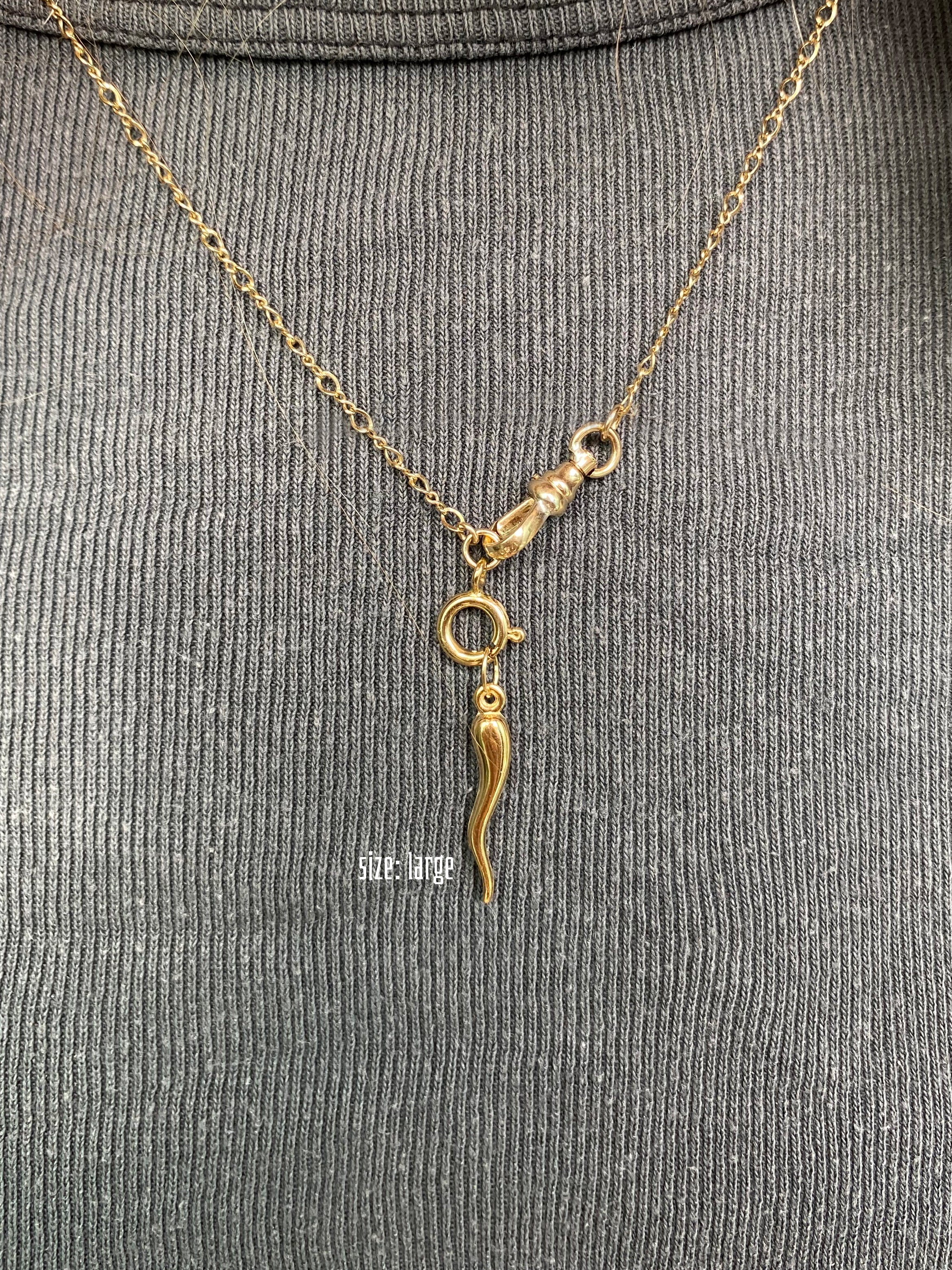 𖤝 Cornicello Charm