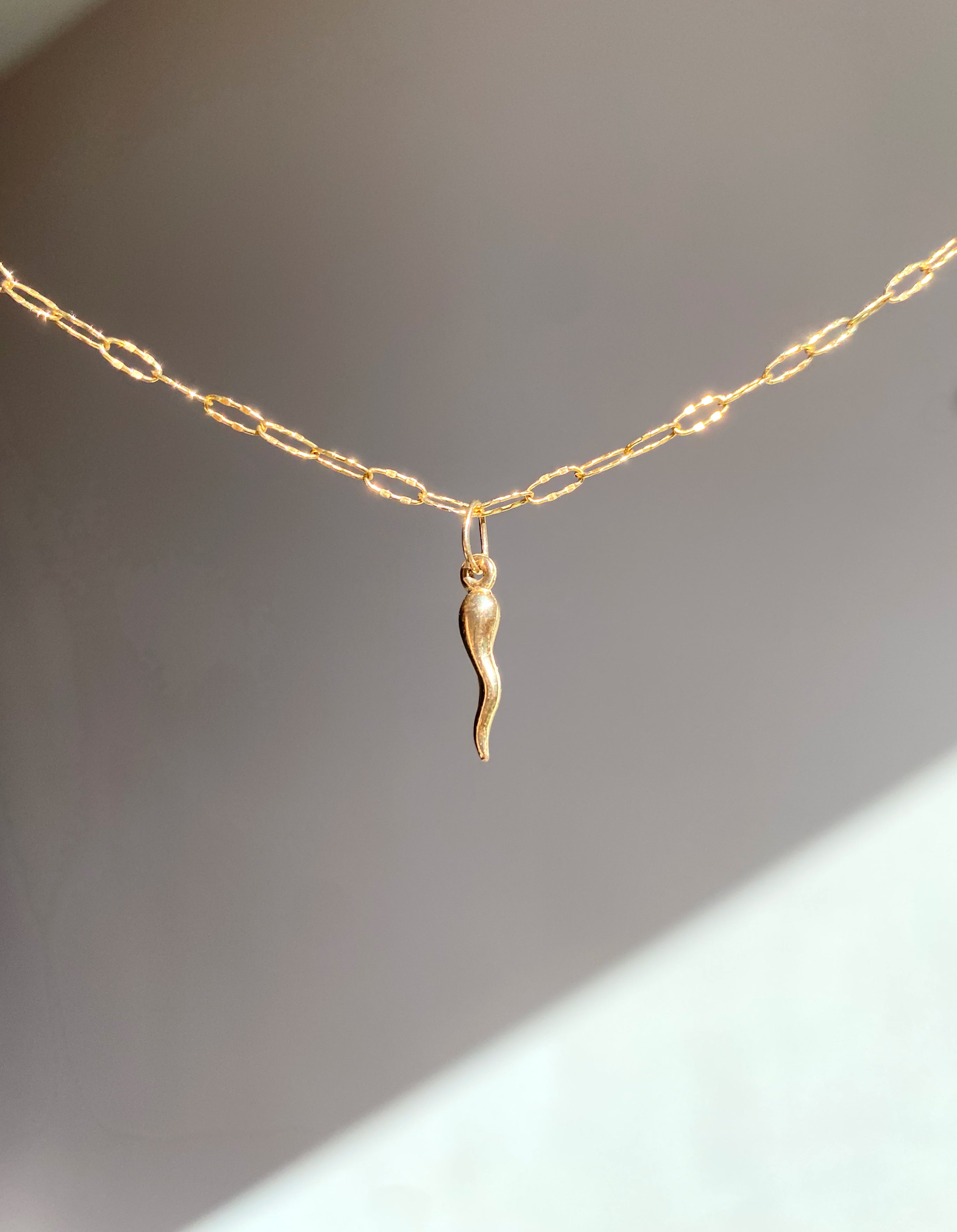 𖤝 Cornicello Charm